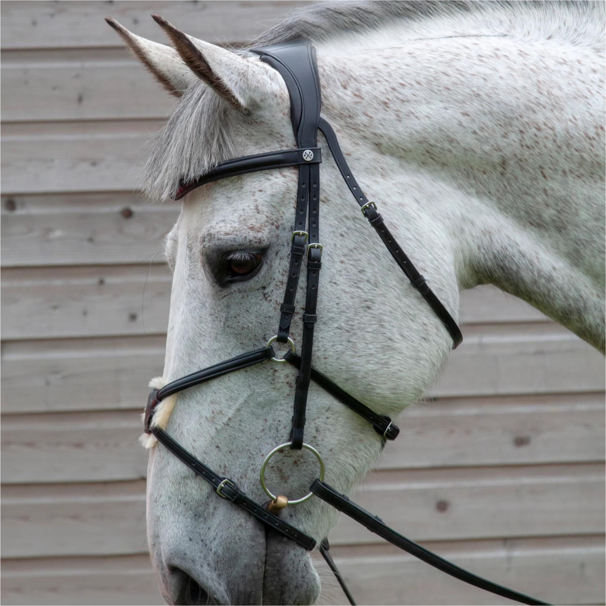 Henry James Mexican Grackle Bridle HJ-BR-05 - BLACK